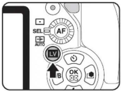 SEL AUTO AF LV /B OK