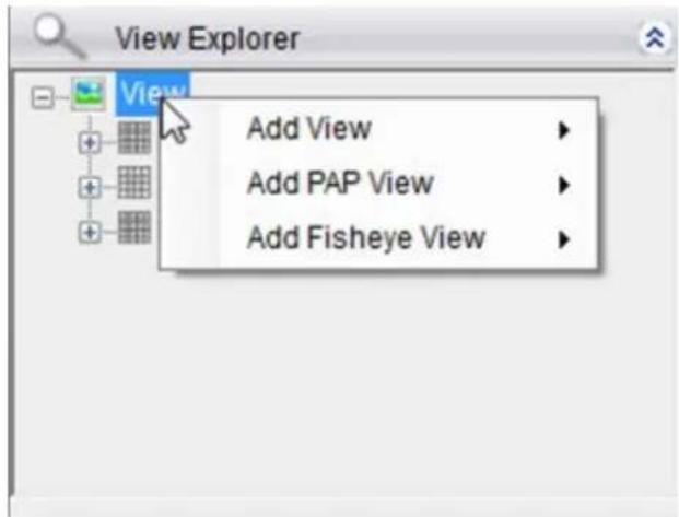 View Explorer Add View Add PAP View Add Fisheye View