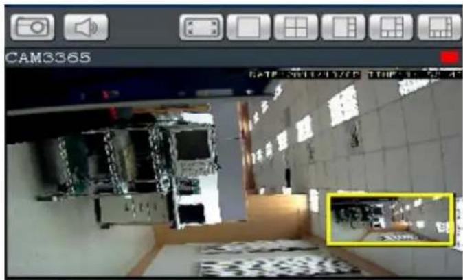CAM3365 SATE 20121728 TURU 1:45 2.5% 2.5%