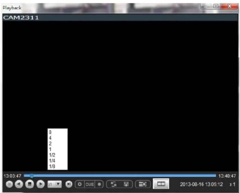 Playback CAM2311 8 4 2 1 1/2 1/4 1/8 13:03:47 13:48:47 2013-08-16 13:05:12 x 1