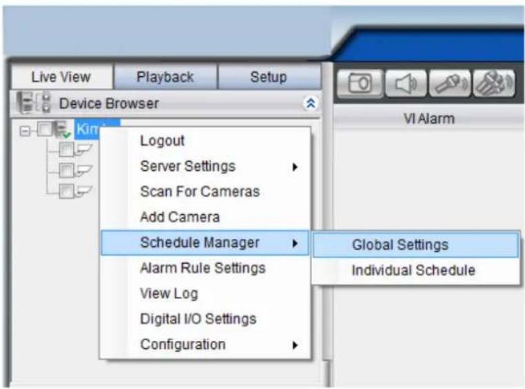 Live View Playback Setup Device Browser King Logout Server Settings Scan For Cameras Add Camera Schedule Manager Alarm Rule Settings View Log Digital I/O Settings Configuration VI Alarm Global Settings Individual Schedule