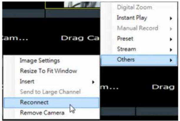Digital Zoom Instant Play Manual Record Preset Stream Others Image Settings Resize To Fit Window Insert Send to Large Channel Reconnect Remove Camera