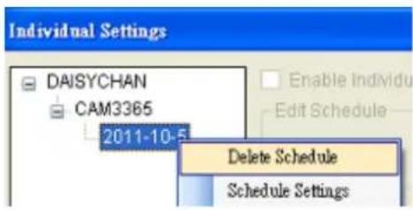 Individual Settings DAISYCHAN CAM3365 2011-10-5 Enable Individu Edit Schedule Delete Schedule Schedule Settings