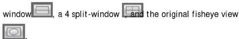 window, a 4 split-window, and the original fisheye view