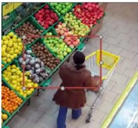 Surveon SMR2016 - Going Out Detection - 2
