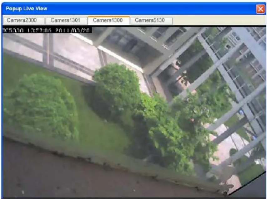 Popup Live View Camera2300 Camera1301 Camera1300 Camera5130 17:57:06 2011/01/20