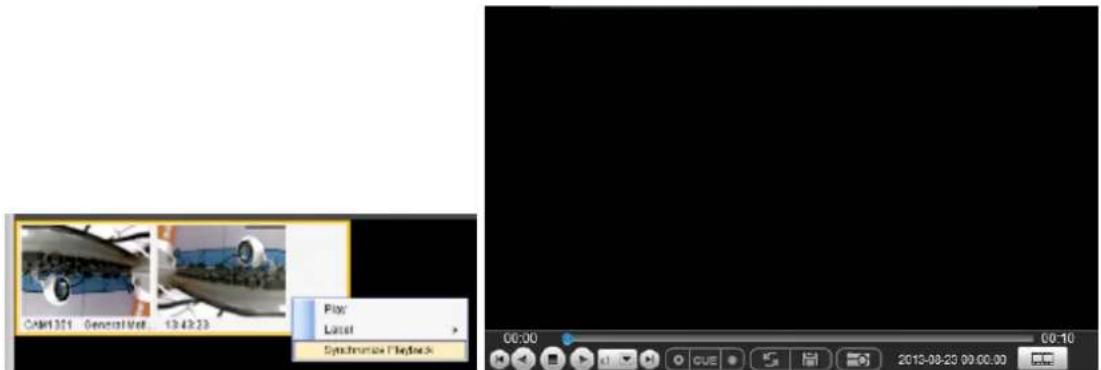 Open 301 General Web 13:48:23 Play Reset Synchronize Playlock 00:00 00:10 CUE 2013-08-23 00:00:00