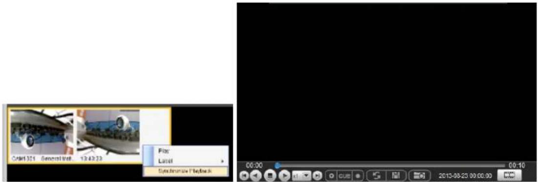 Onset 321 General Web 13:43:23 Flow: Laser Systematic Playback 00:00 00:10 CUE 2013-08-23 00:00:00