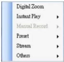 Digital Zoom Instant Play ▶ Manual Record ▶ Preset ▶ Stream ▶ Others ▶