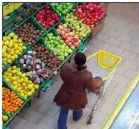 Surveon SMR2016 - Foreign Object Detection - 6