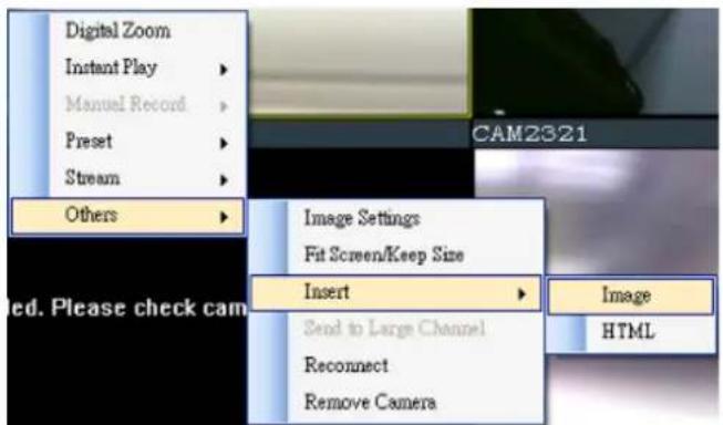 Digital Zoom Instant Play Manual Record Preset Stream Others Image Settings Fit Screen/Keep Size Insert Send to Large Channel Reconnect Remove Camera CAM2321 Image HTML ed. Please check cam