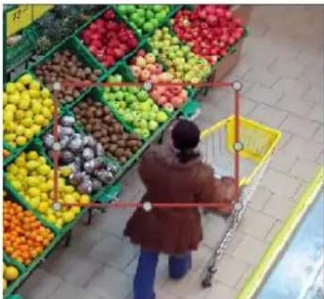 Surveon SMR2016 - Foreign Object Detection - 2