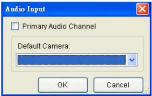 Audio Input Primary Audio Channel Default Camera: OK Cancel