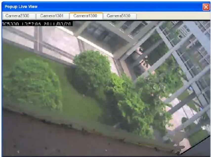 Popup Live View Camera2300 Camera1301 Camera1300 Camera5130 7:55:00 12:57:06 2011/01/20