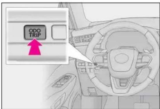 ODO TRIP