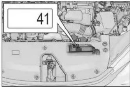 41