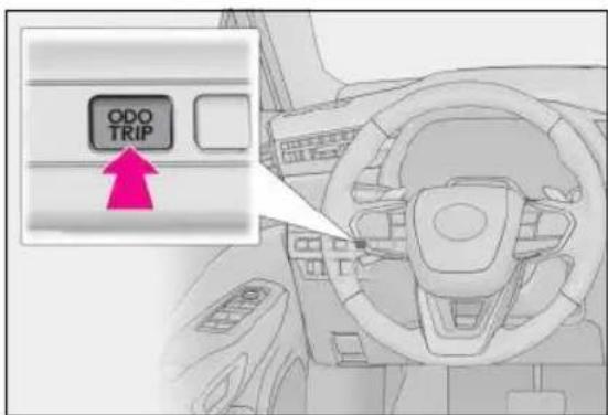ODO TRIP