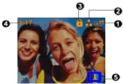 AGFAPHOTO DV-5000G - LCD Monitor Information - 1
