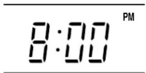 8:00 PM