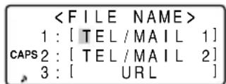 1 : [ TEL / MAIL 1 ] CAPS 2 : [ TEL / MAIL 2 ] 3 : [ URL ]