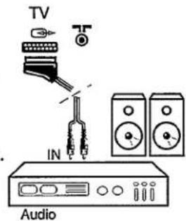 TV IN Audio