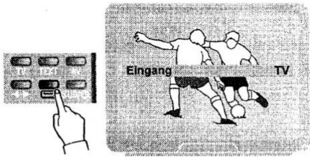 Eingang TV