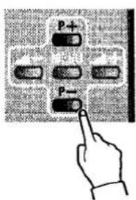 P+ P-