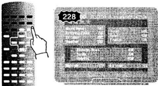 228