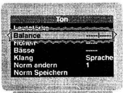 Ton Lavatärke Balance Nöhen Bässe Klang Norm andern Norm Speichern Sprache 1