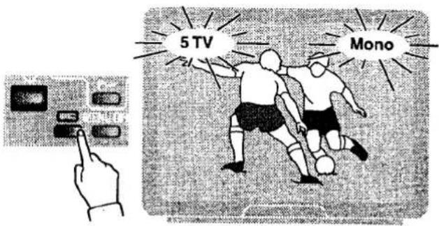 5 TV Mono