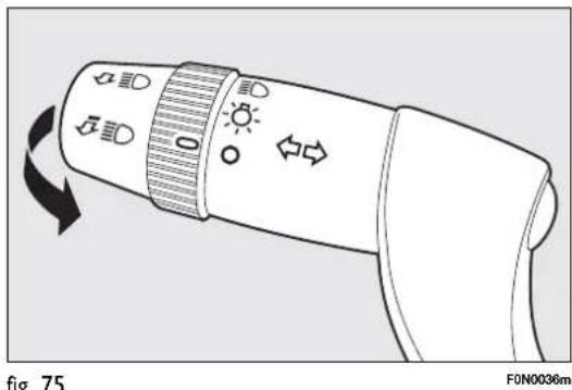 fig. 75 F0N0036m