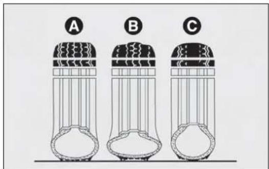A B C
