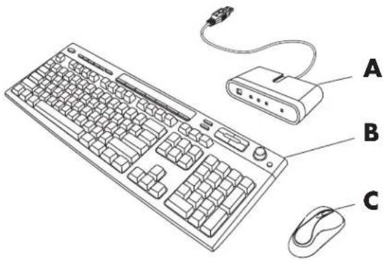 Diagram of a computer keyboard with labeled parts A, B, and C for identification