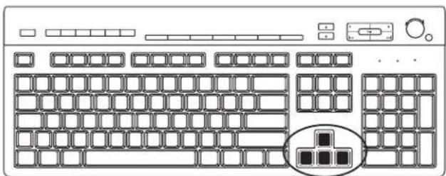 COMPAQ Presario S8000 - arrow keys - 1