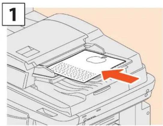 TOSHIBA E-Studio 6570c - Automatisk dokumentmatare med vändfunktion - 1