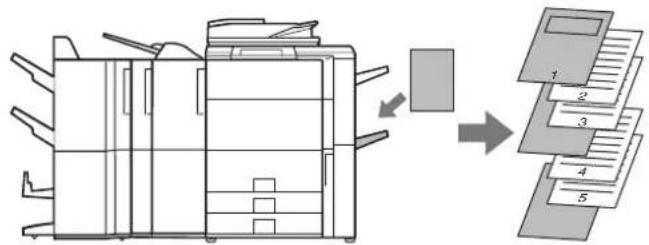 SHARP MX-5500N - Windows - 4