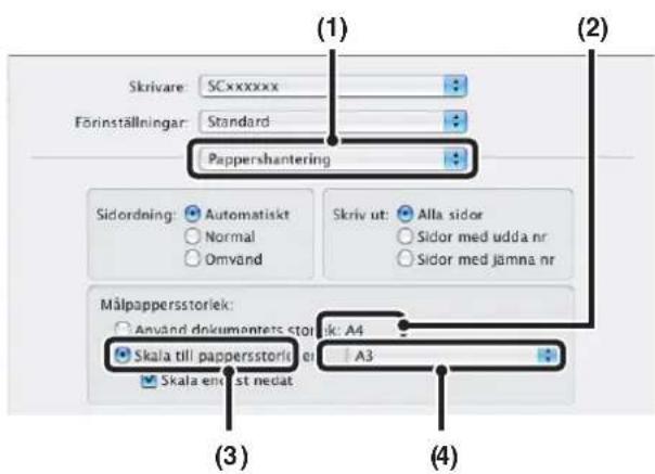 SHARP MX-7000N - Macintosh - 1