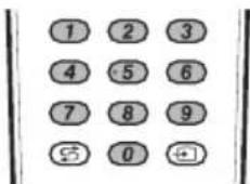 1 2 3 4 5 6 7 8 9 5 0 +