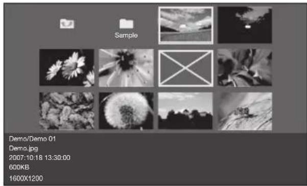 Sample Demo/Demo 01 Demo.jpg 2007:10:18 13:30:00 600KB 1600X1200
