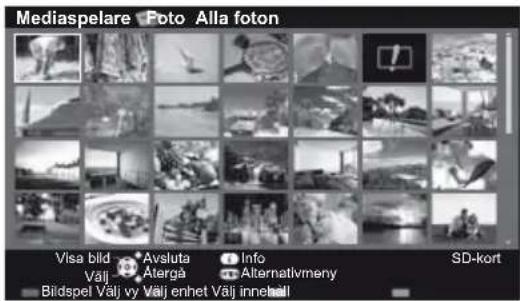 Mediaspelare Poto Alla foton Visa bild Avsluta Info SD-kort Välj Atergå Alternativmeny Biidspel Välj vy Välj enhet Välj innehall