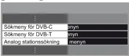 Sökmeny för DVB-C Sökmeny för DVB-T Analog stationssökning