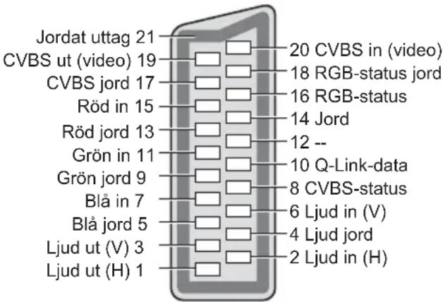 Jordat uttag 21 CVBS ut (video) 19 CVBS jord 17 Röd in 15 Röd jord 13 Grön in 11 Grön jord 9 Blå in 7 Blå jord 5 Ljud ut (V) 3 Ljud ut (H) 1 20 CVBS in (video) 18 RGB-status jord 16 RGB-status 14 Jord 12 -- 10 Q-Link-data 8 CVBS-status 6 Ljud in (V) 4 Ljud jord 2 Ljud in (H)