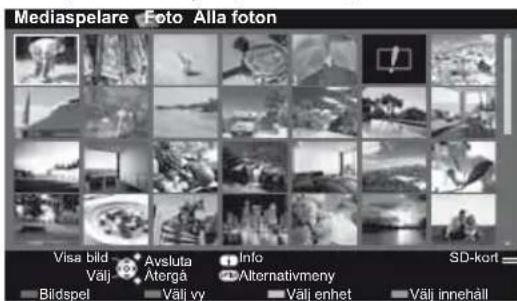 Mediaspelare Foto Alla foton Visa bild Avsluta Info SD-kort Välj Atergå Alternativmeny Bildspel Valj vy Valj enhet Välj innehäll
