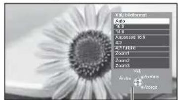 Vall bioFormat Auto 16.9 14.8 Impersed 16.9 4.3 4.3 bulge 20cm 20cm2 20cm3 Vall Audio + Audio + Audio
