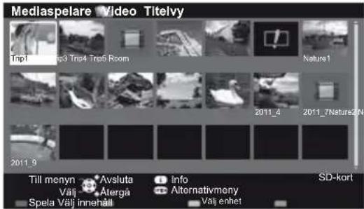 Mediaspelare Video Titlevy Trip1 Trip3 Trip4 Trip5 Room Nature1 2011_4 2011_7Nature2/N 2011_9 Till menyn Avsluta Info SD-kort Välj Atergå Alternativmeny Spela Välj Innehäll Valj enhet