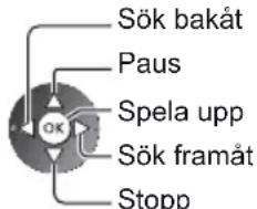 Sök bakåt Paus Spela upp Sök framåt Stopp