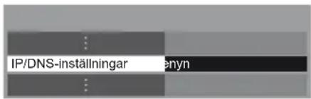 IP/DNS-inställningar enyn
