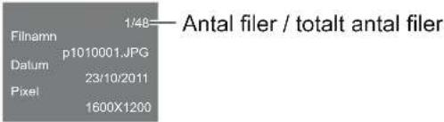Filnamn 1/48—Antal filer / totalt antal filer p1010001.JPG Datum 23/10/2011 Pixel 1600X1200