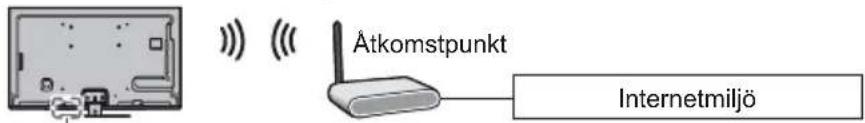 Atkomstpunkt Internetmiljö