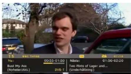 15 WEC THINGS Nu: 00:55-01:50 Nästa: 01:50-02:20 Bust My Ass (Nybeter/Akt) DVD-T Two Pints of Lager and... (Underhaltning)
